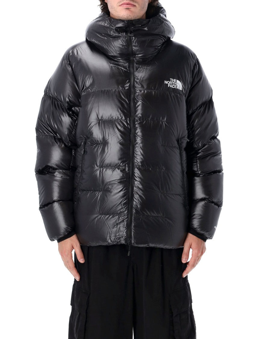 The North Face Summit Pumori Down Parka