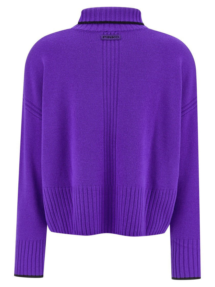 Pinko Falkland' Turtleneck Sweater