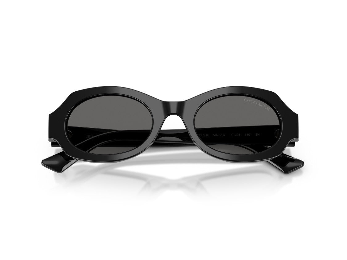 Giorgio Armani 0Ar8245hu Glossy Acetate Oversized Round Sunglasses