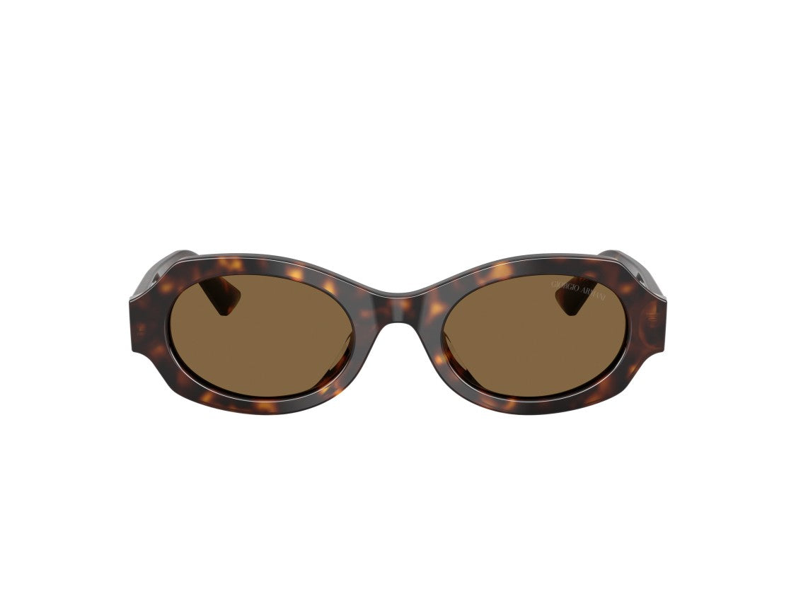Giorgio Armani 0Ar8245hu Tortoiseshell Acetate Sunglasses