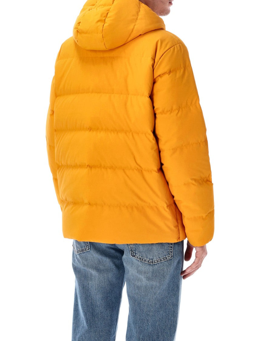 Patagonia Sisar Down Hooded Jacket