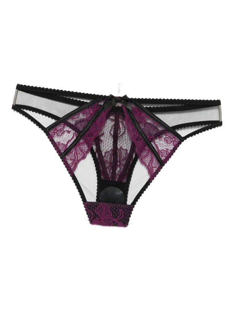 Agent Provocateur Intricate Lace Brief With Sheer Mesh Panels