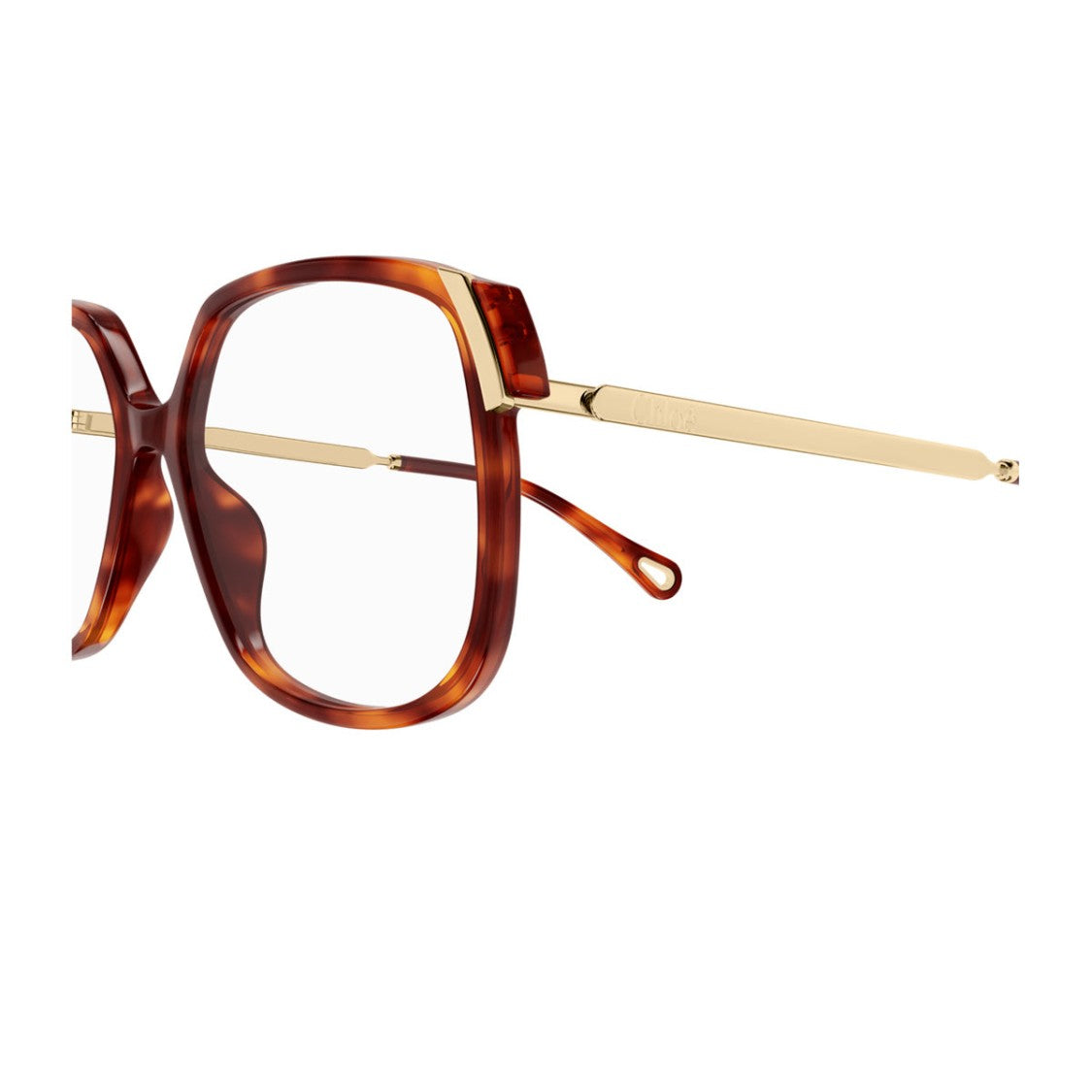 Chloé Havana Aly Oversized Square Acetate Sunglasses