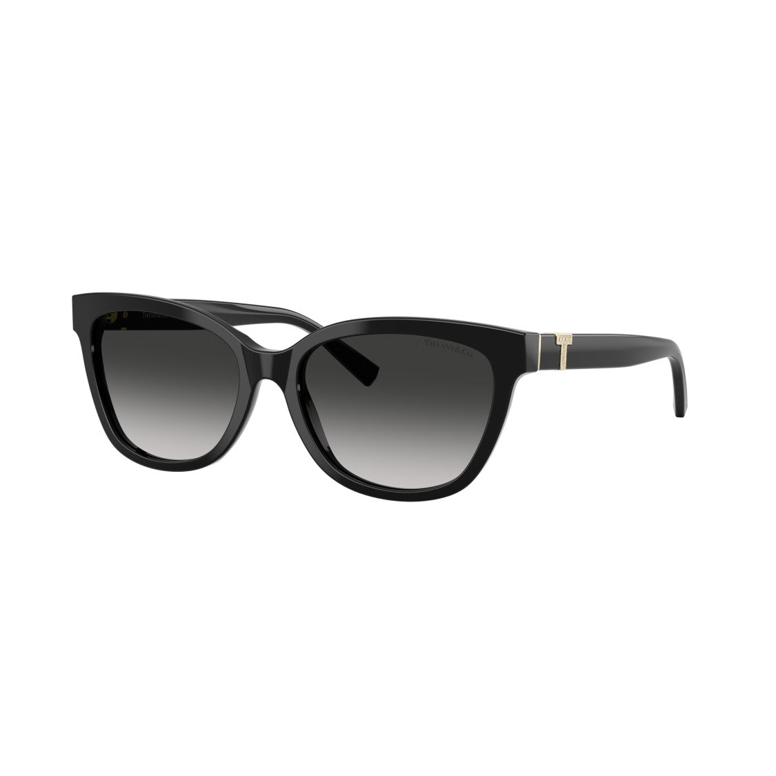Tiffany & Co. 0Tf4237b Oversized Square Frame Sunglasses
