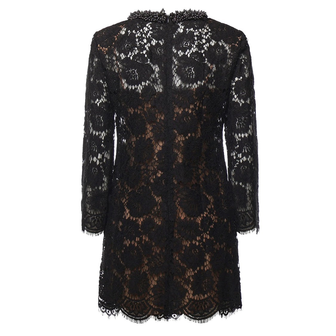 Self-Portrait Floral Lace Overlay Beaded Collar Mini Dress