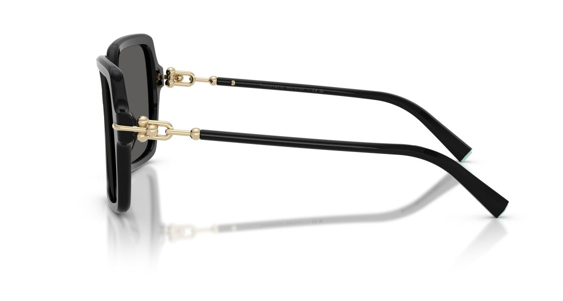 Tiffany & Co. 0Tf4260u Oversized Square Black Sunglasses