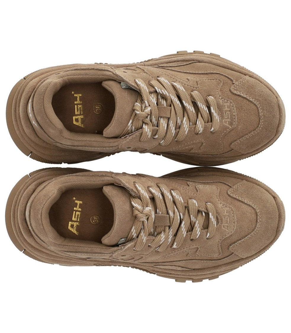Ash Addict Beige Sneaker