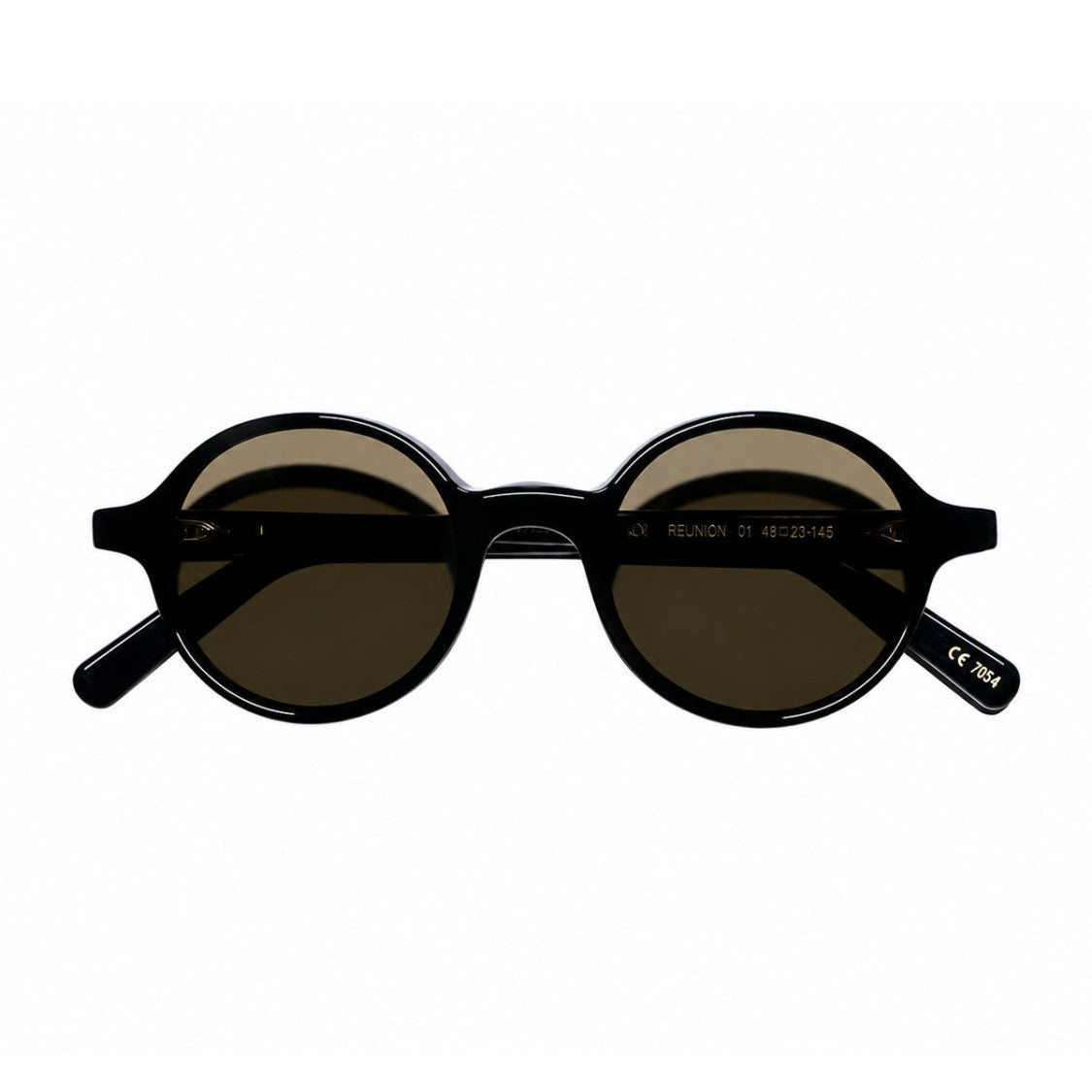 L.G.R. Geometric Black Acetate Sunglasses With Polarized Brown Lenses