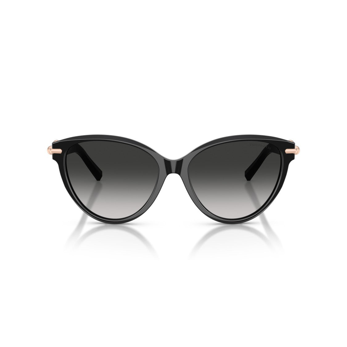 Tiffany & Co. 0Tf4261 Cat-Eye Sunglasses