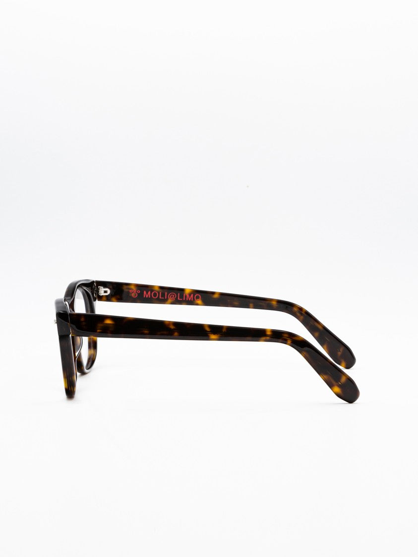 Moli@Limo Brown Acetate Optical Frame With Comfortable Fit