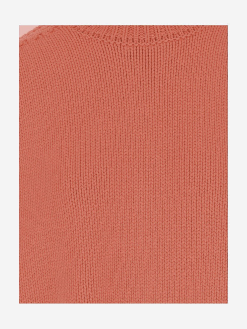 Sa Su Phi Cashmere Sweater With Crew Neck