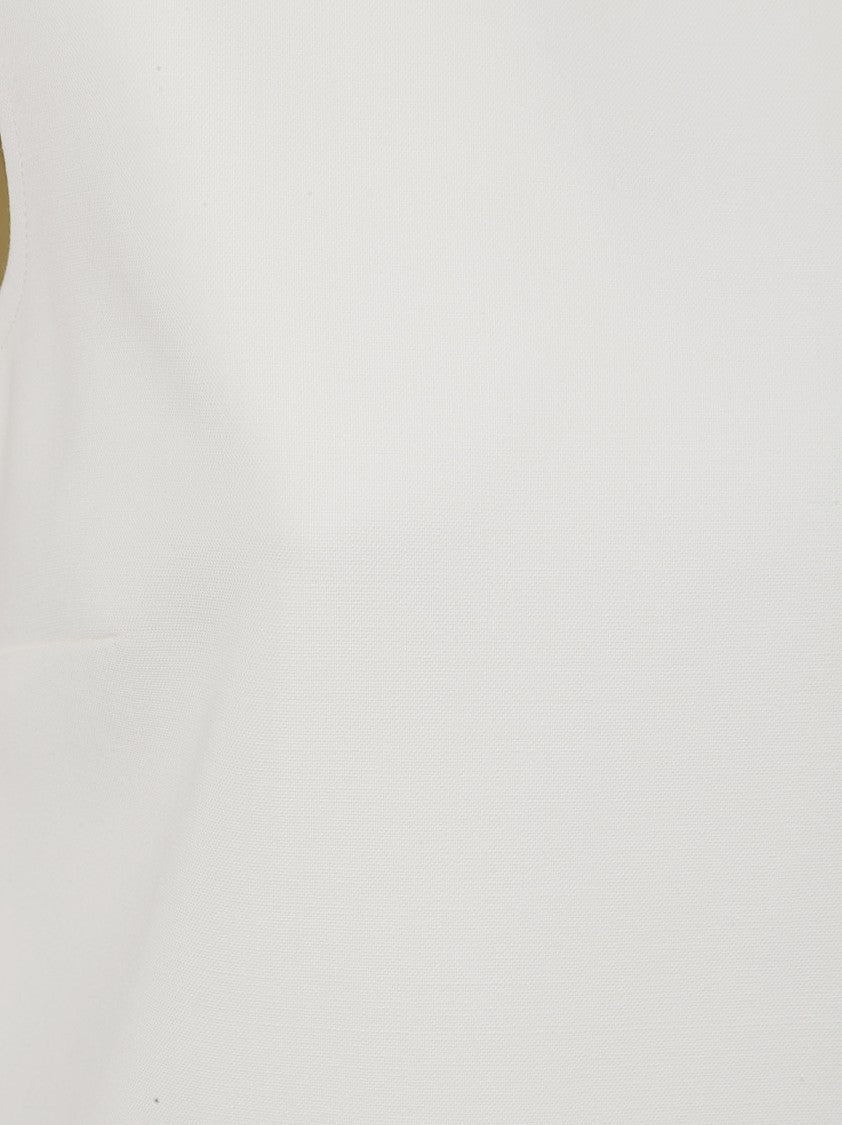 Max Mara Sleeveless Dress With Concealed Back Zipper