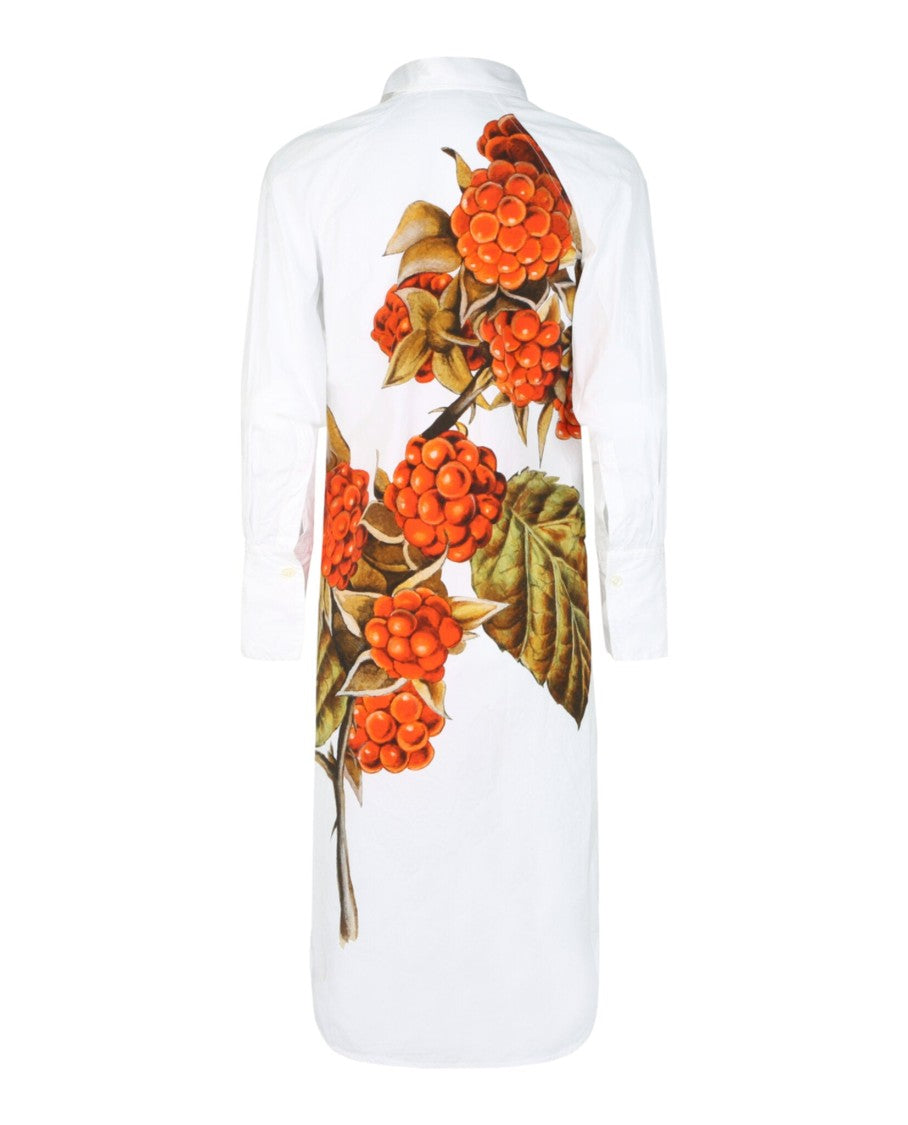 Ferragamo Botanical Print Shirt Dress
