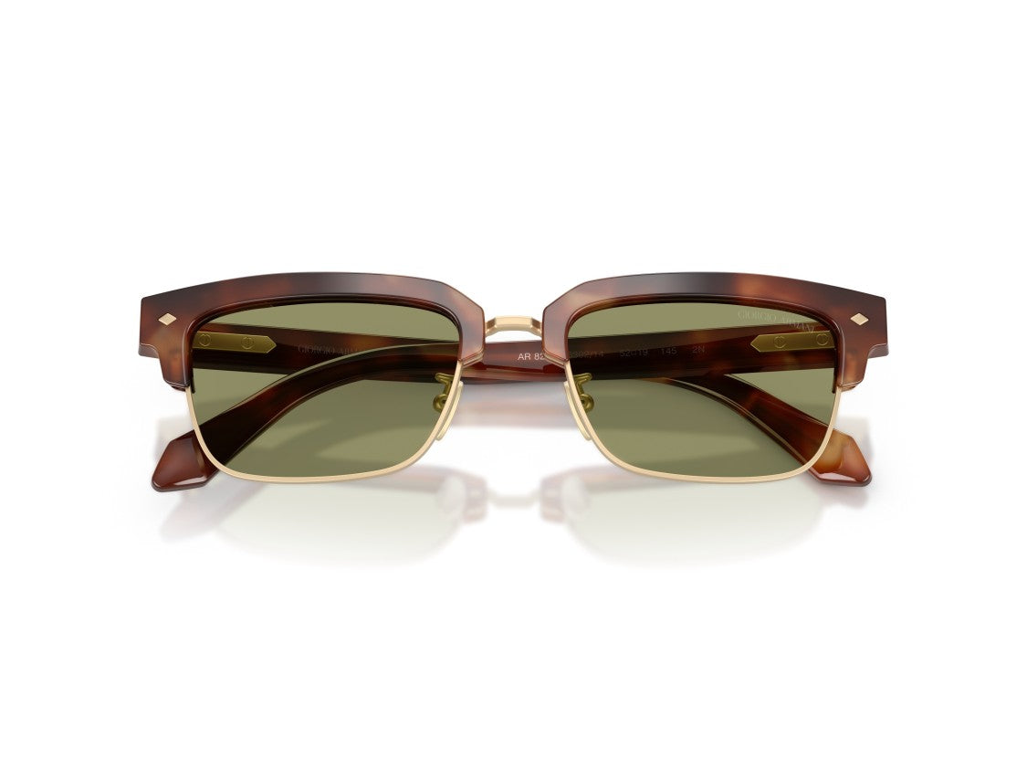 Giorgio Armani Gold 0Ar8243 Tortoiseshell Acetate Sunglasses