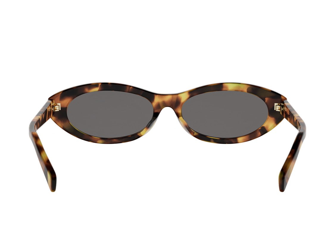 Celine Cl40353f Tortoiseshell Rounded Sunglasses