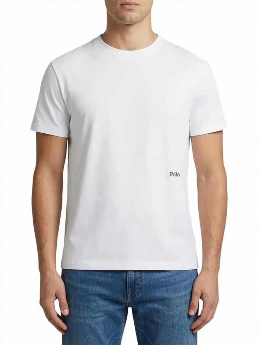 Polo Ralph Lauren Short-Sleeved Crew Neck T-Shirt With Graphic Polo Design
