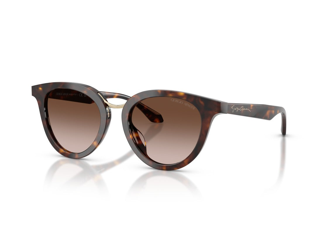 Giorgio Armani Gold 0Ar8252u Tortoiseshell Cat-Eye Sunglasses