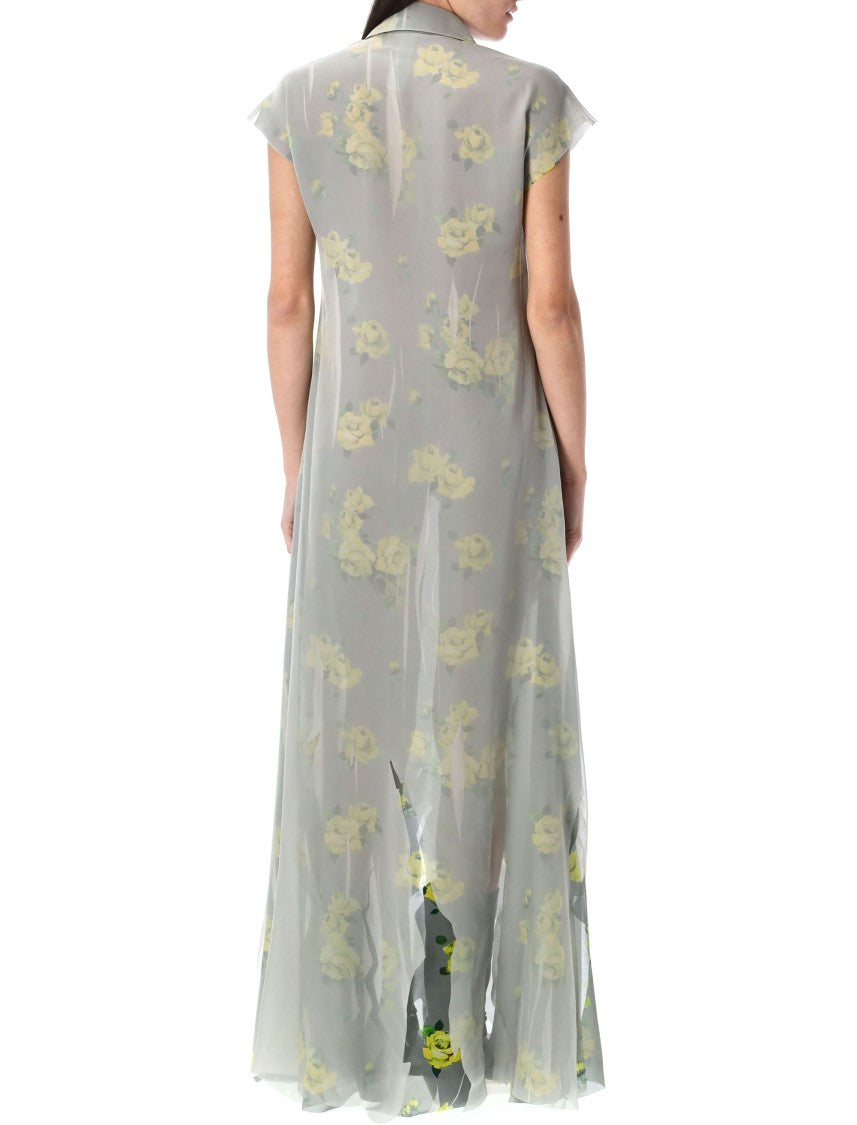 Acne Studios Dranee Rose Print Long Dress