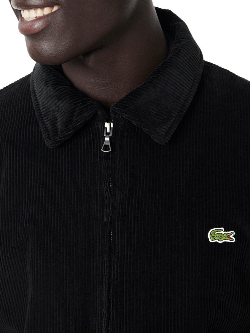 Lacoste Classic Collar Corduroy Jacket