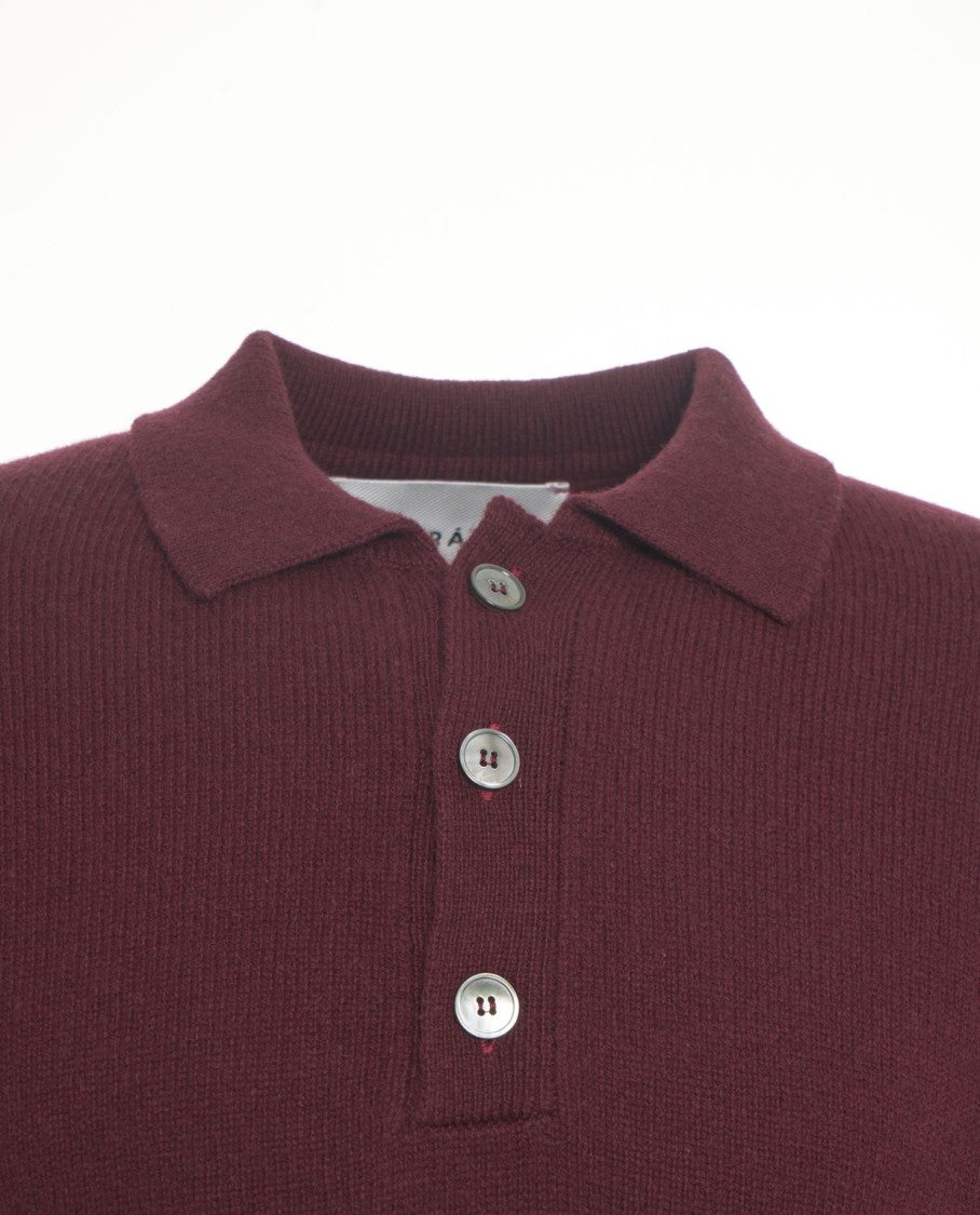 Amaranto Polo Collar Pullover In Rich Burgundy Knit