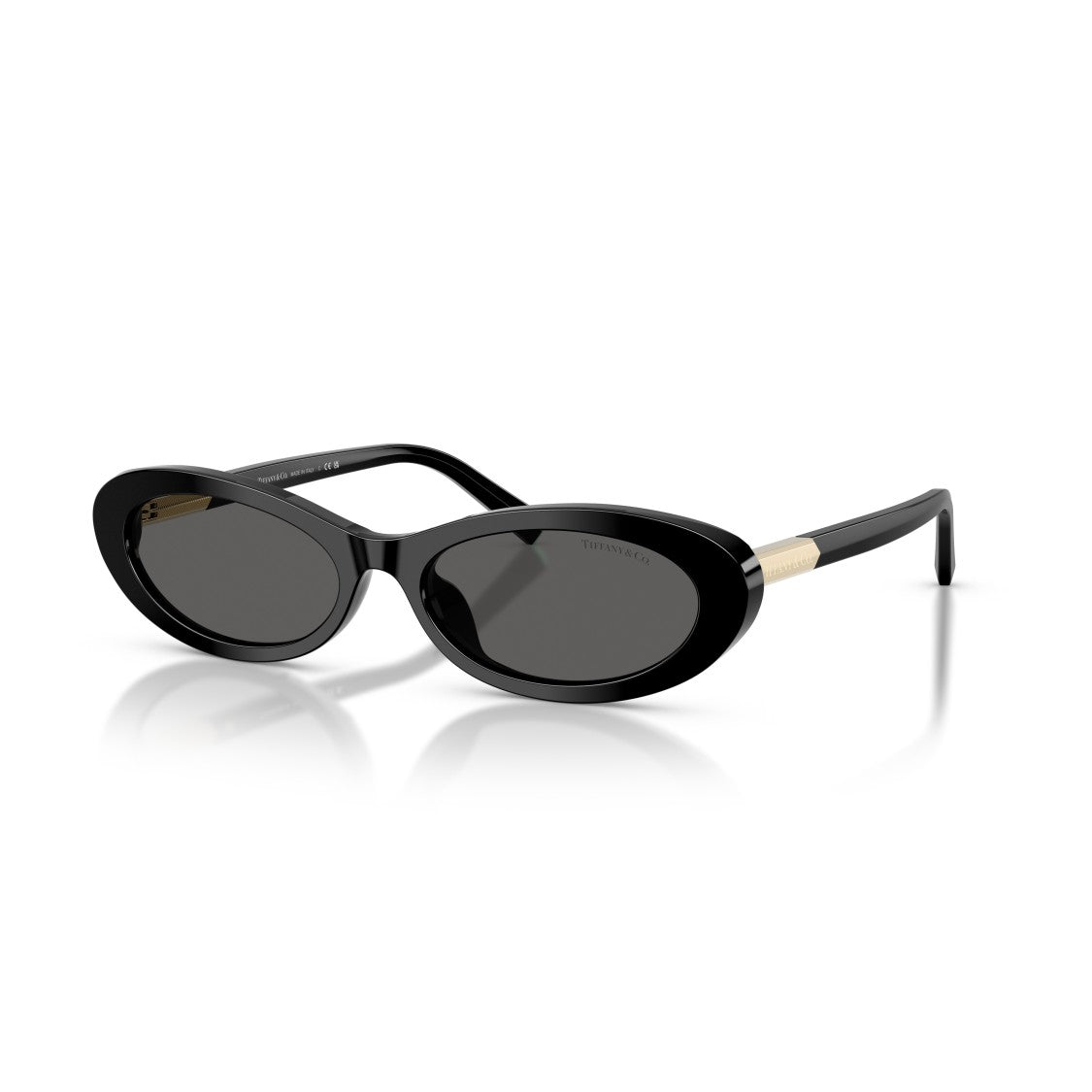 Tiffany & Co. 0Tf4250 Elongated Oval Sunglasses