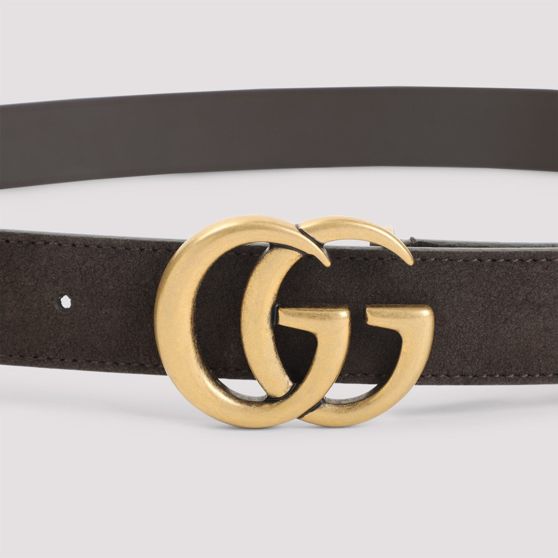 Gucci Testa Di Moro Brown Suede Calf Leather Belt