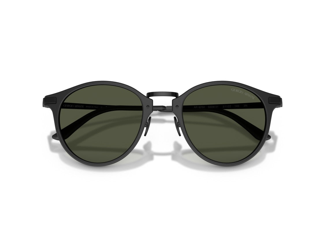 Giorgio Armani 0Ar8250 Acetate Round Sunglasses