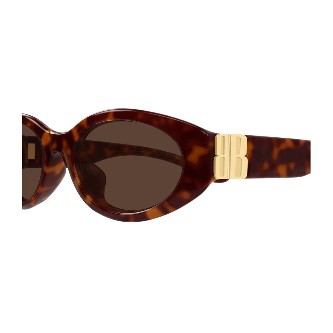 Balenciaga Everyday Oval Havana Brown Recycled Acetate Sunglasses
