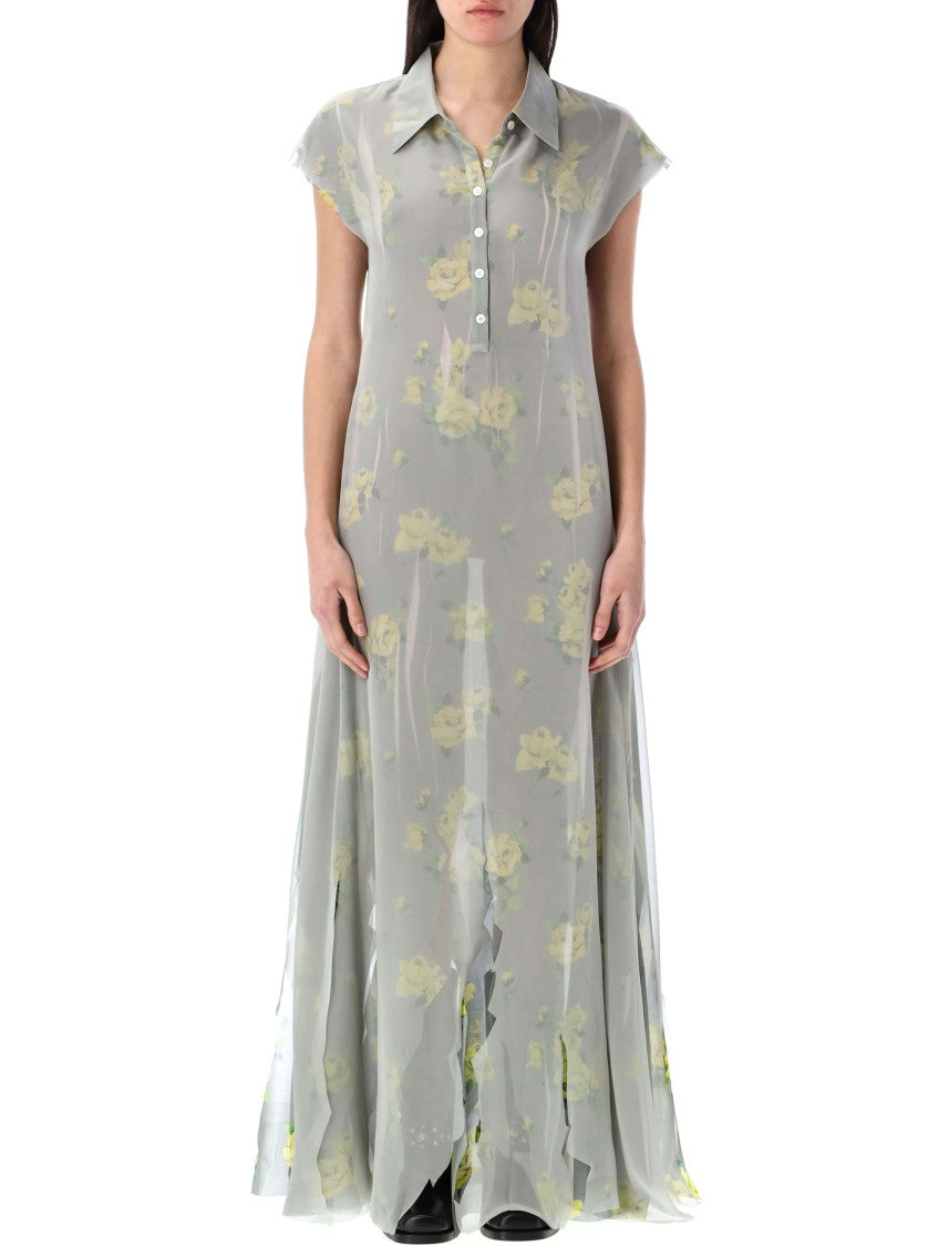 Acne Studios Dranee Rose Print Long Dress