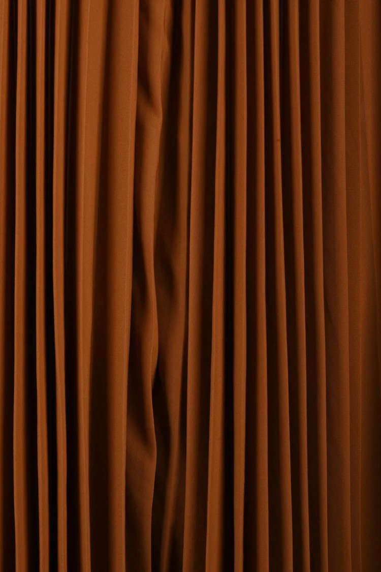 Philosophy Di Lorenzo Serafini Pleated Dress - Brown