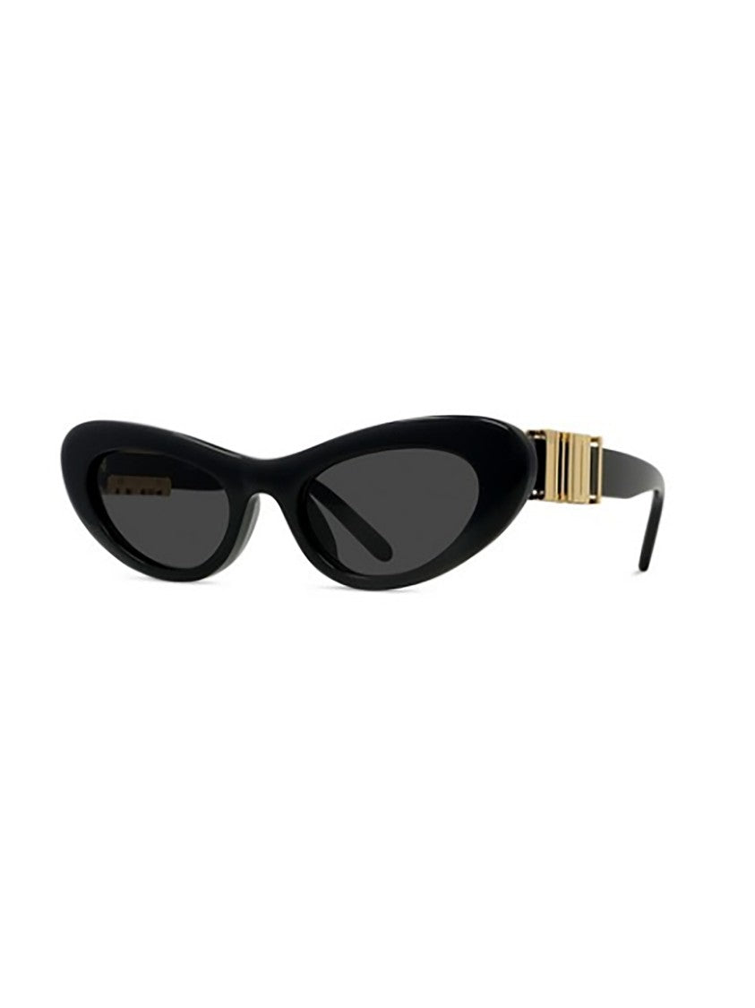 Loewe Black Lw40156u Oversized Cat-Eye Sunglasses
