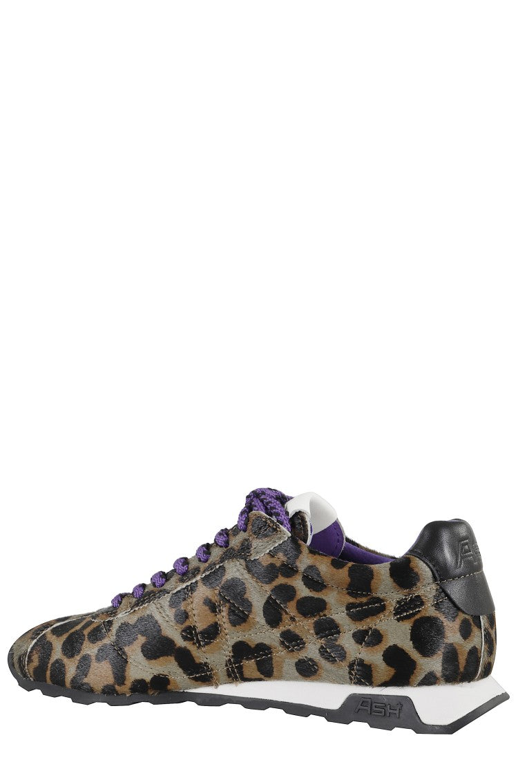 Ash Pony Leopard Print Sneakers