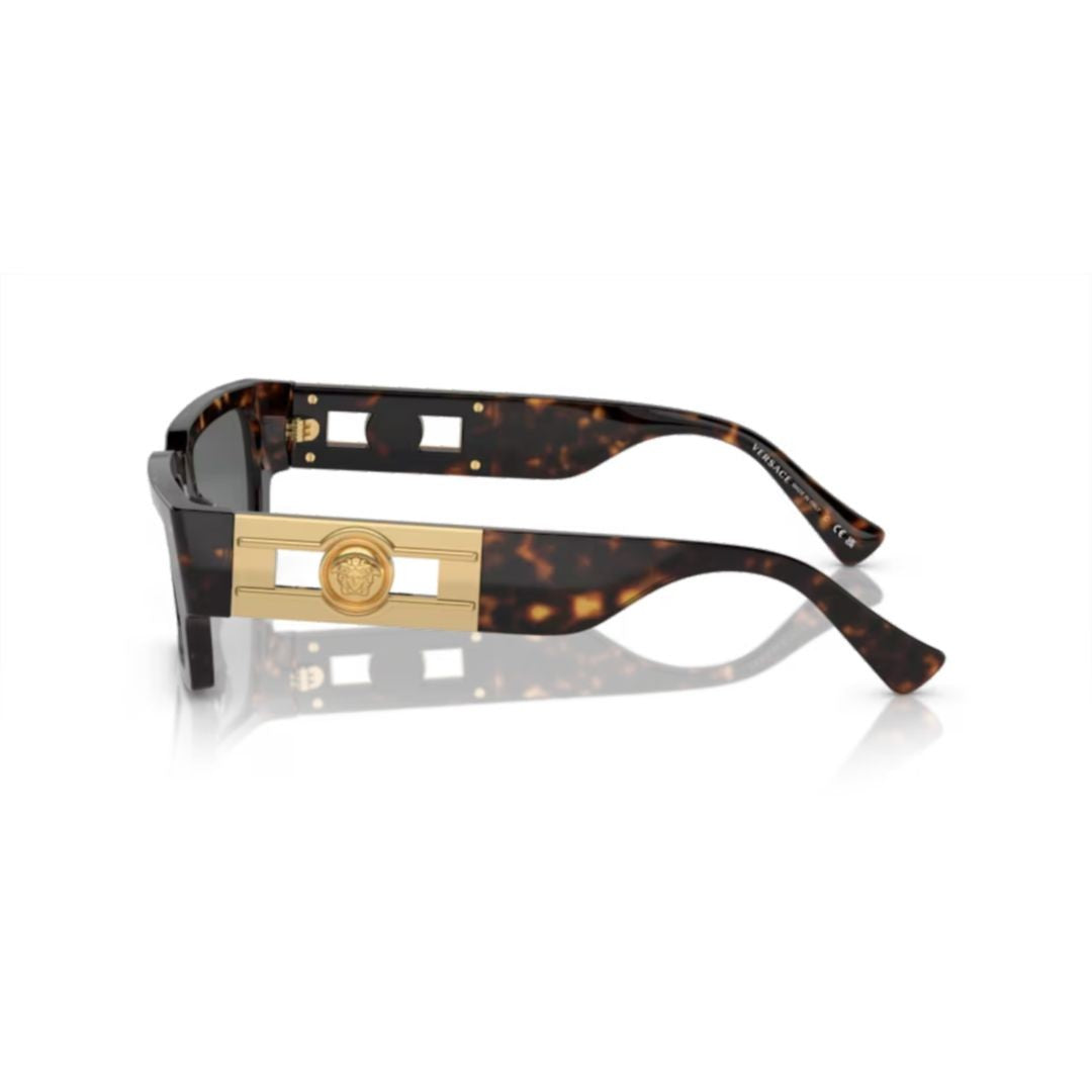 Versace 0Ve4459 Tortoiseshell Acetate Sunglasses