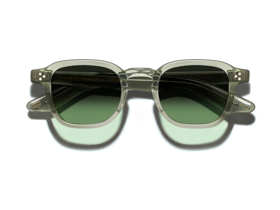 Moscot Or-Mom-S Translucent Square Sunglasses