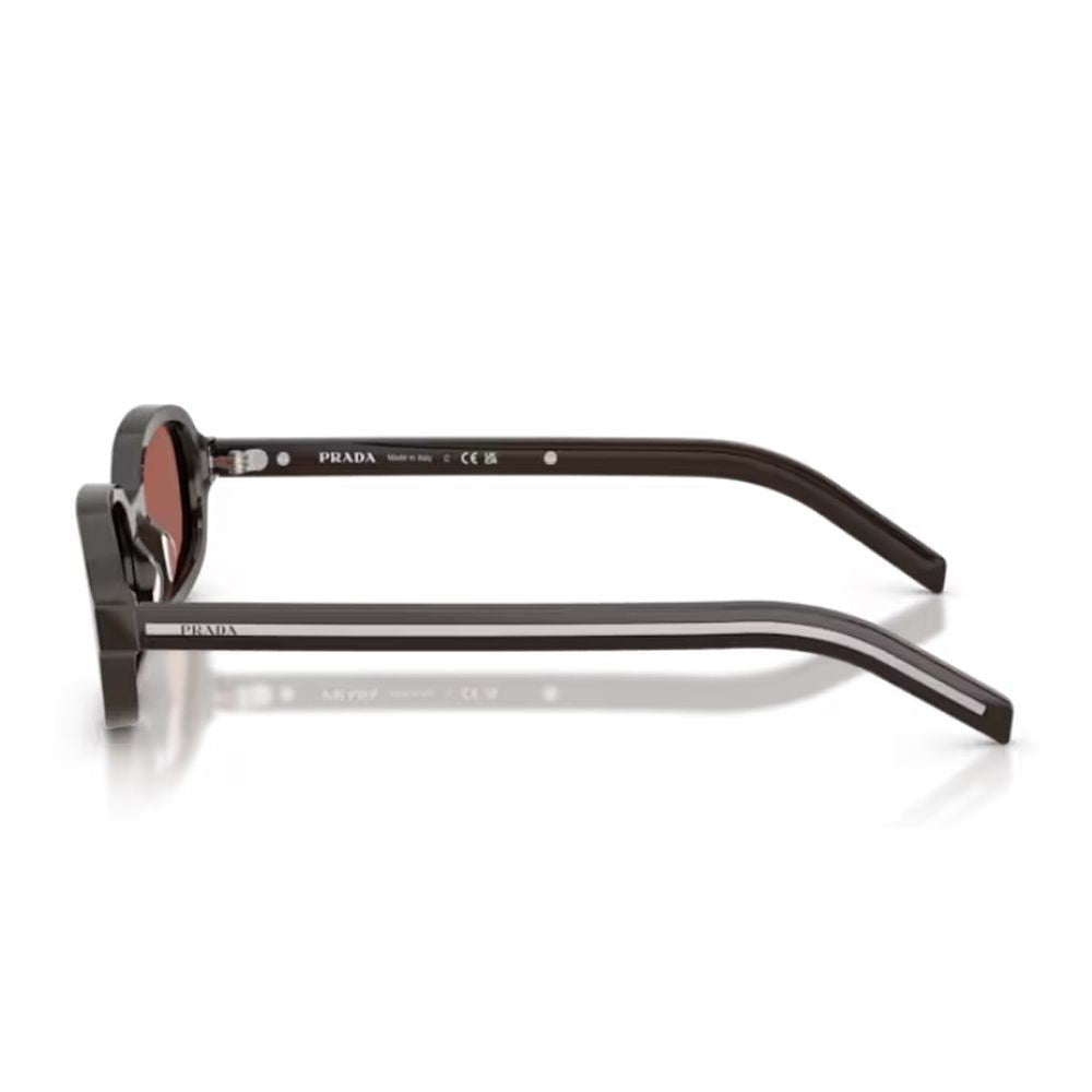 Prada Cigar Pr D06s Oval Acetate Sunglasses