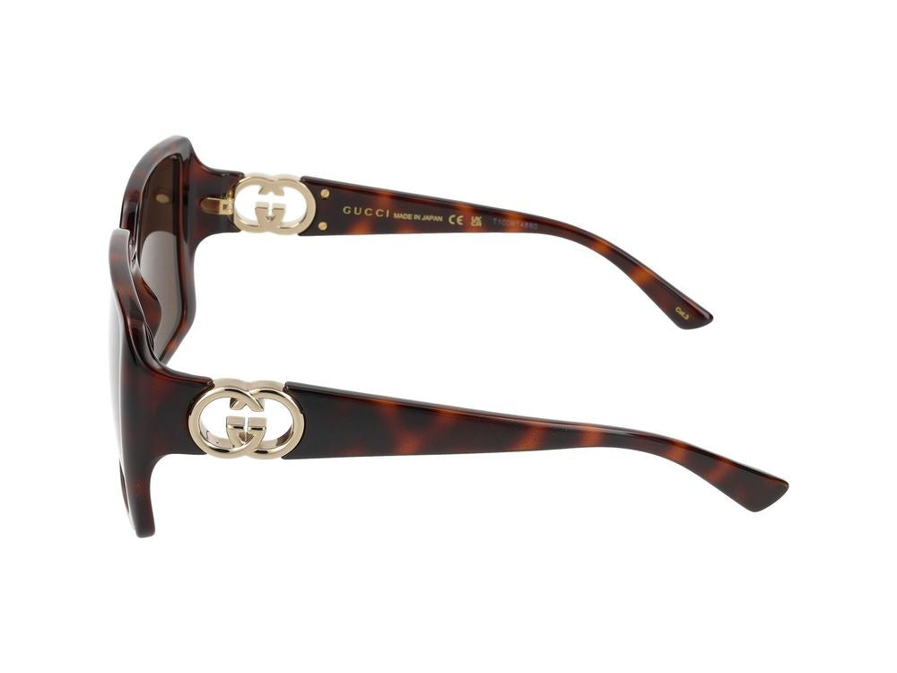 Gucci Sunglasses Gucci Gg1692s 002 Havana Havana Brown 54/18/135