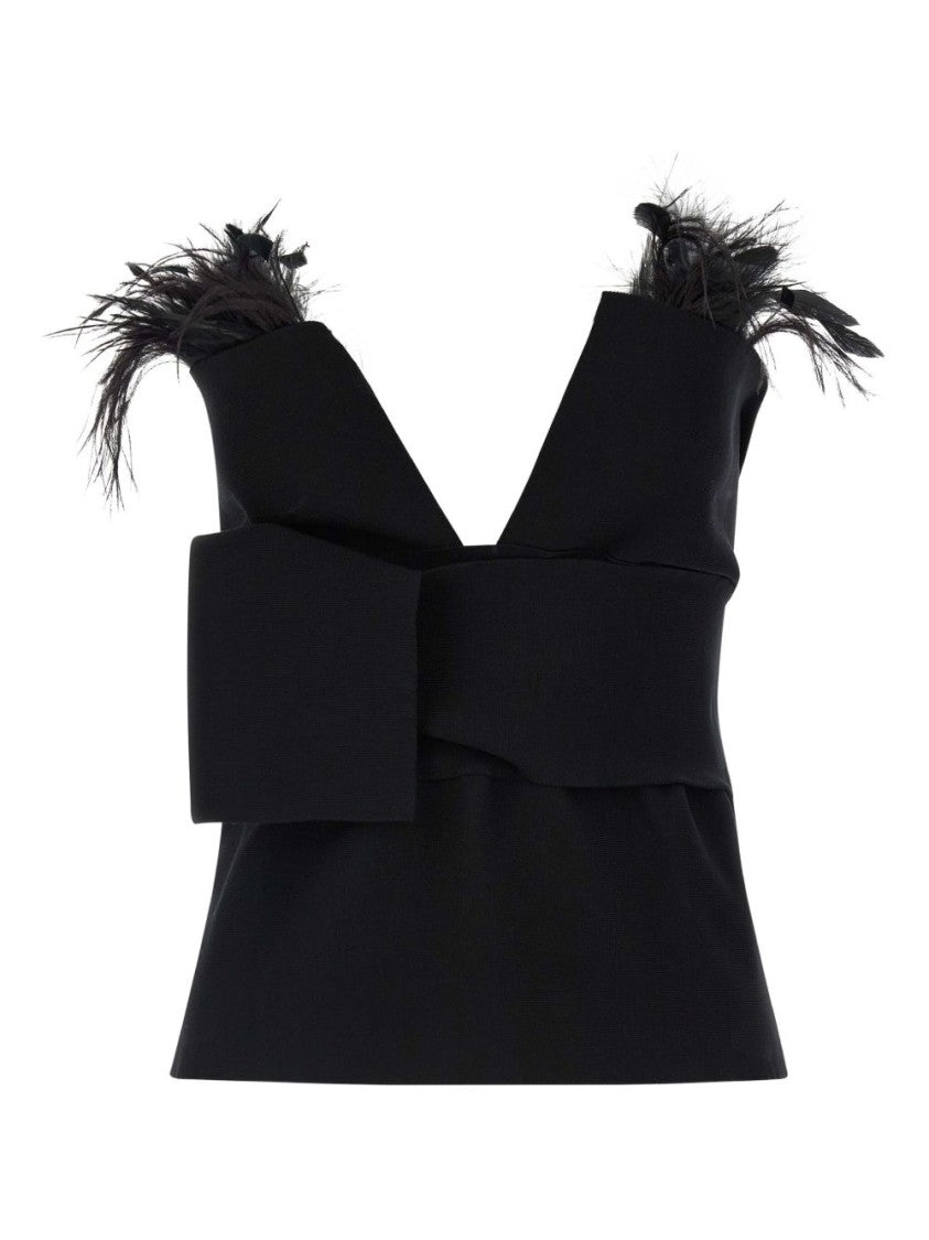 Alberta Ferretti Structured Bustier Top With Feather Details