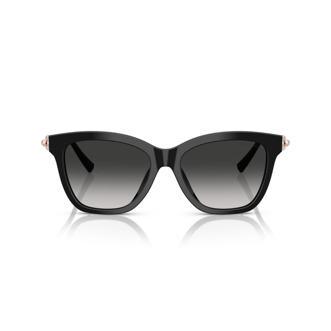 Tiffany & Co. 0Tf4241d Oversized Square Sunglasses