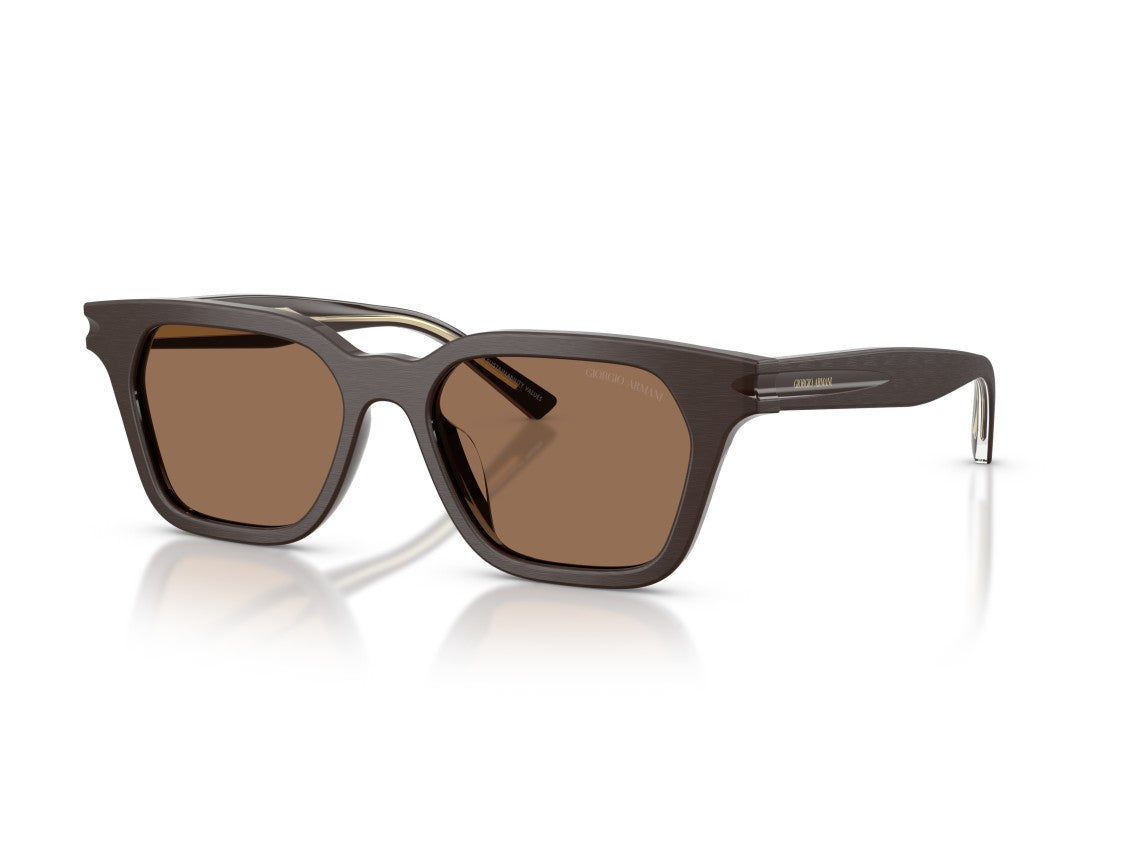 Giorgio Armani 0Ar8251u Glossy Acetate Oversized Square Sunglasses