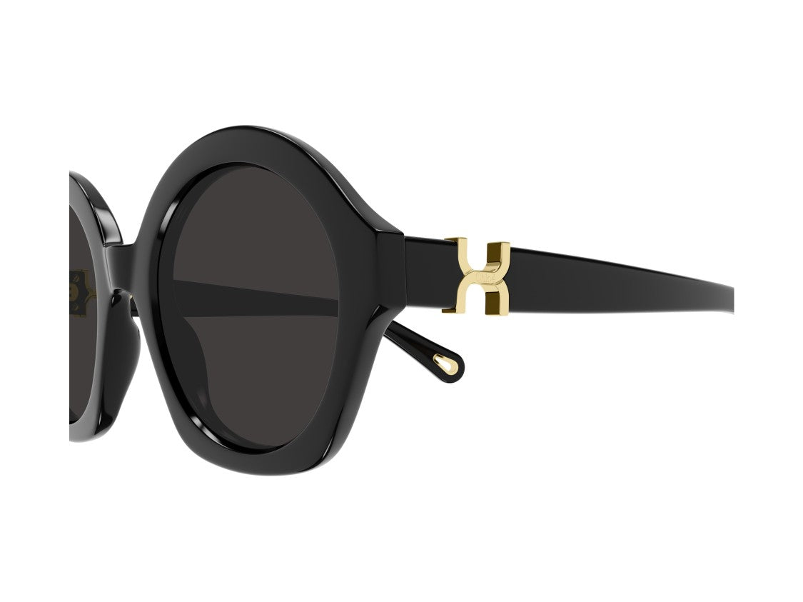 Chloé Black Ch0302s Acetate Round Sunglasses