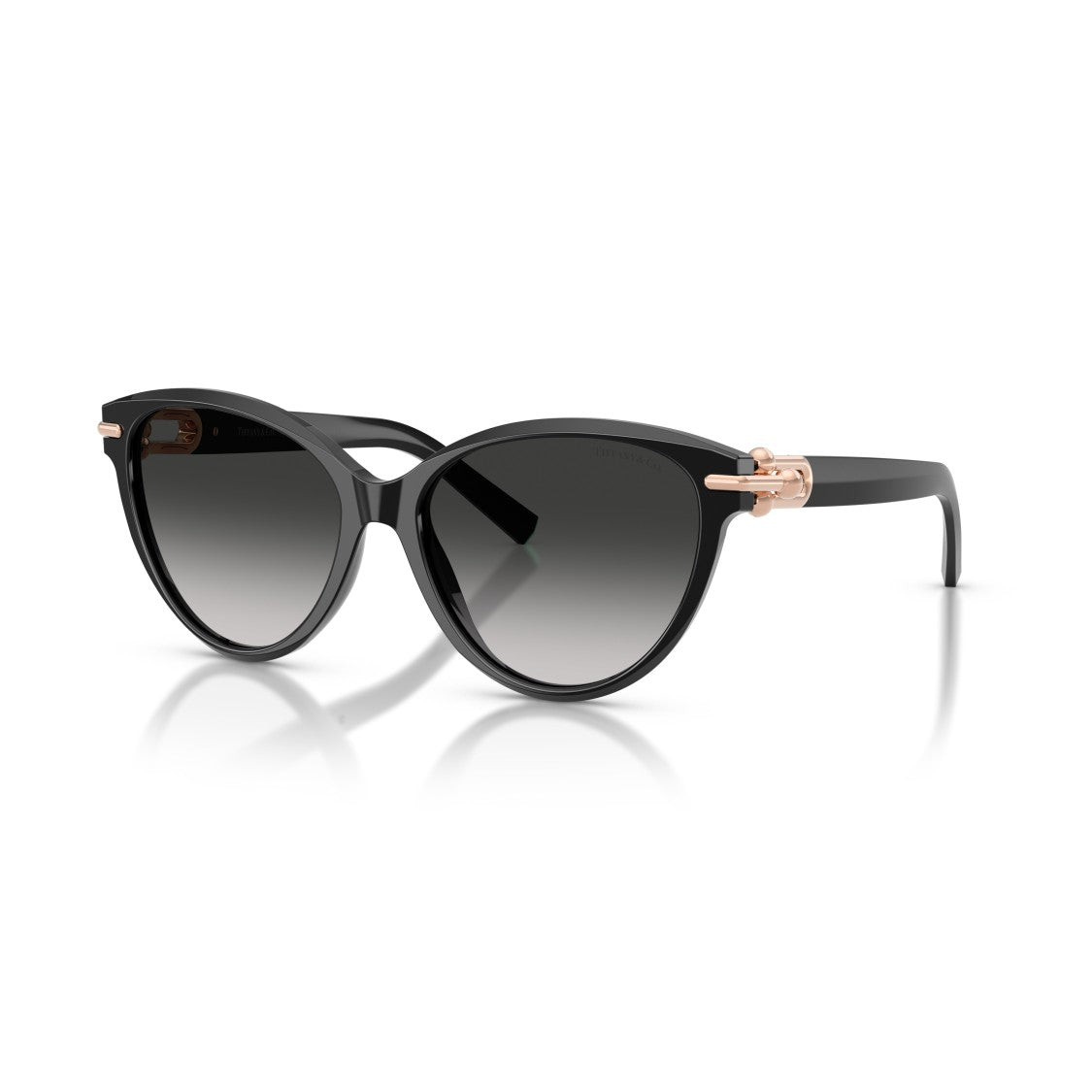 Tiffany & Co. 0Tf4261 Cat-Eye Sunglasses