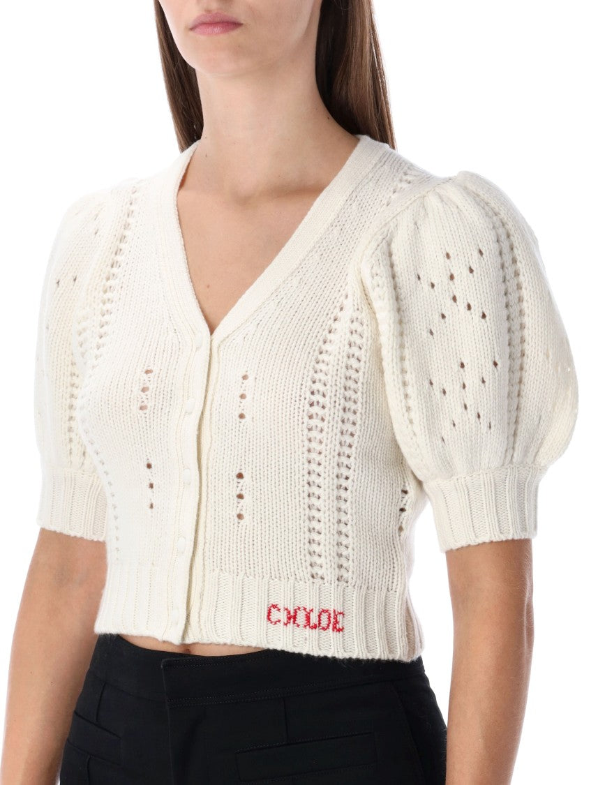 Chloé Wool And Cashmere Puff-Sleeve V-Neck Cardigan