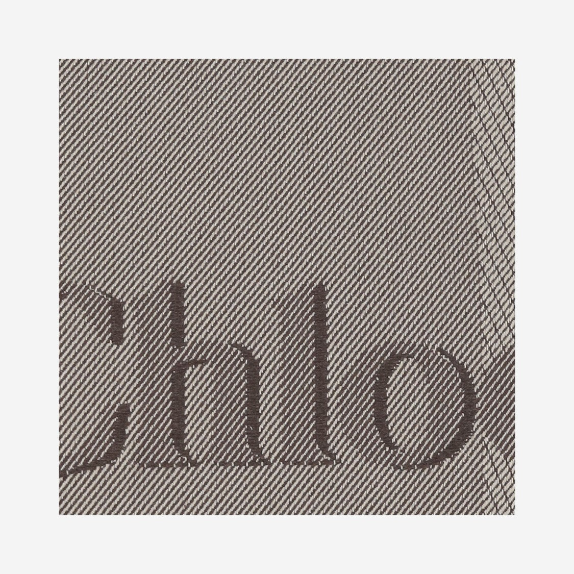 Chloé Chloé Carry Canvas Tote Bag