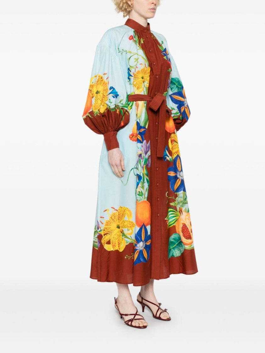 Alemais Dahlia Maxi Dress