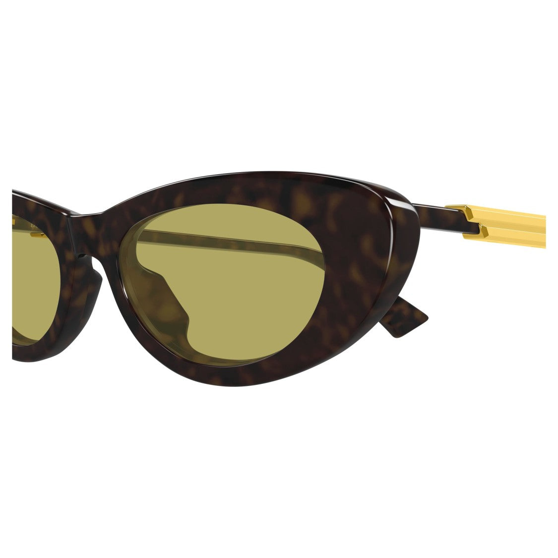 Bottega Veneta Bv1447s Cat-Eye Tortoiseshell Sunglasses
