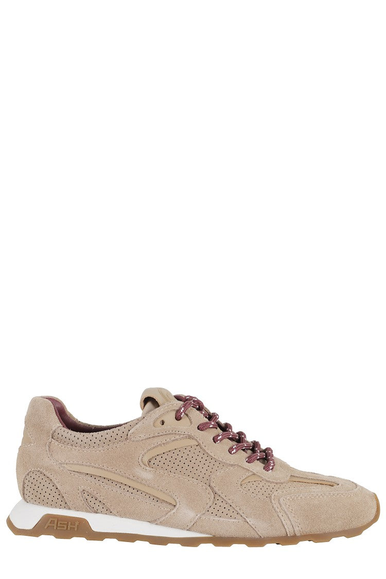 Ash Perforated Calf Suede Sneakers