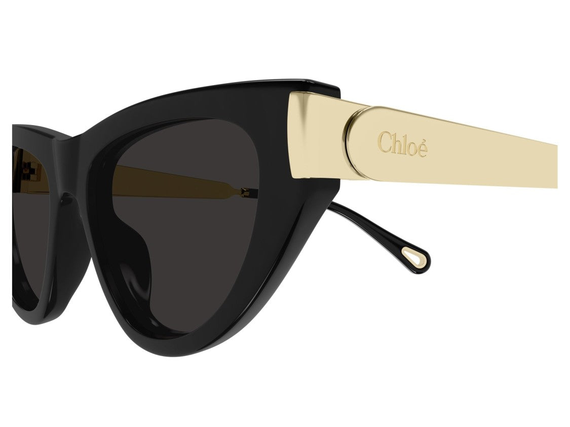 Chloé Black Ch0350s Cat-Eye Sunglasses