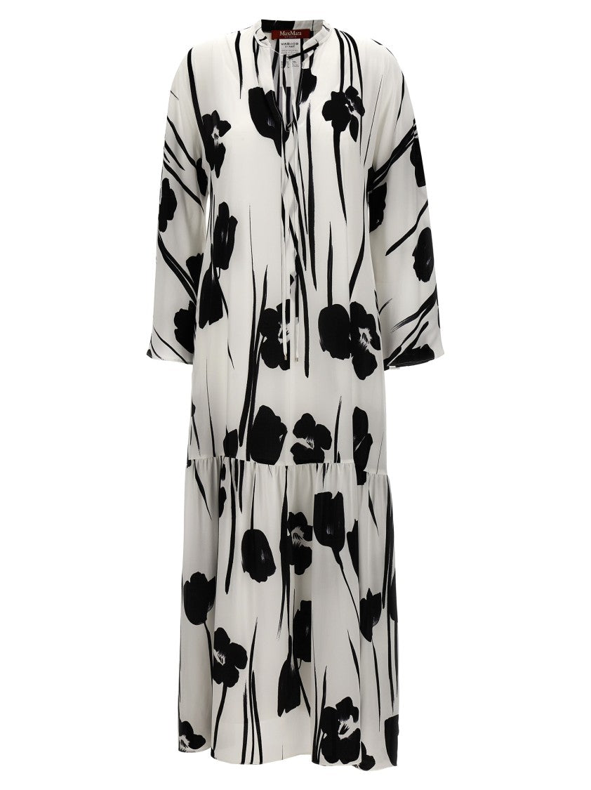 Max Mara 'Eles' Dress