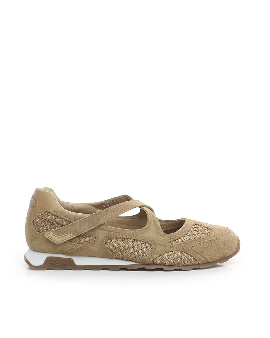 Ash Kore Desert Sneakers In Mocha Mou