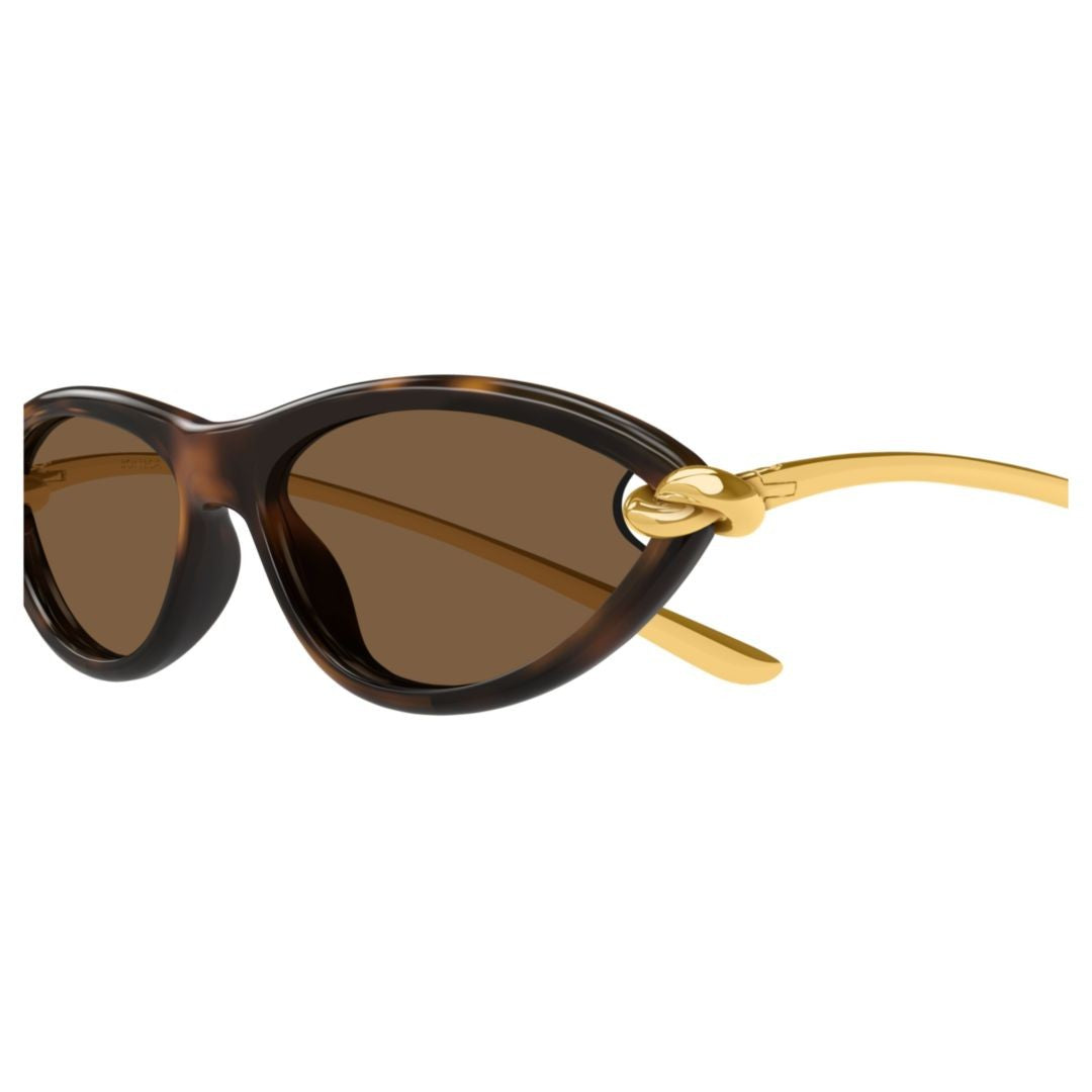 Bottega Veneta Bv1390s Cat-Eye Tortoiseshell Sunglasses